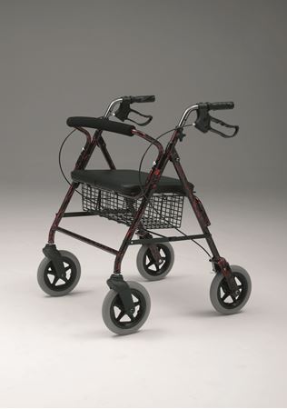 Picture for category Bariatric Walkers