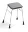 Picture of Basic Adjustable Height Perching Stool