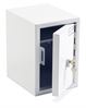 Picture of Controlled drug cabinet