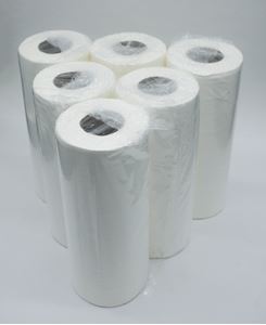 Hygiene / couch rolls 10Inch x 100 sheets white (18)
