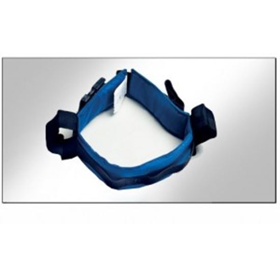 Picture of Mini Handling Belt