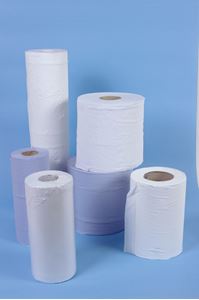 Mini centre feed rolls 2 ply x 60m (12)
