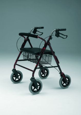Picture for category Bariatric Walkers