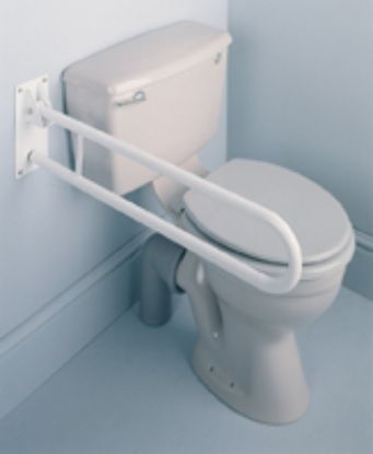 Picture of Trombone Fold away grab rail