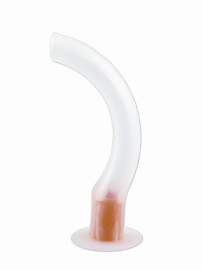 Picture of Adult Airway Size (3)