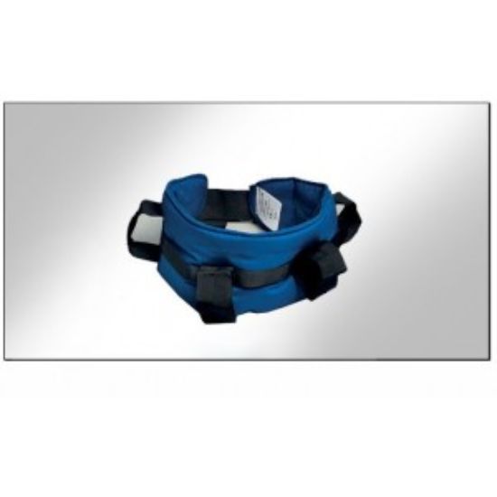 Picture of Maxi Handling Belt