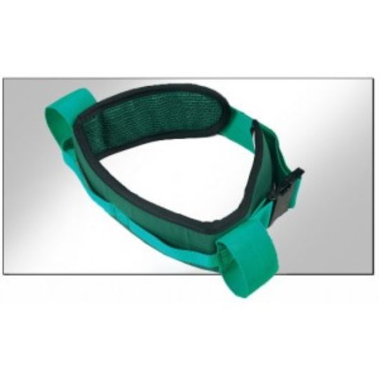 Picture of Mini Deluxe Handling Belt