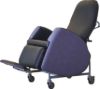 Picture of Florien II 450 Chair